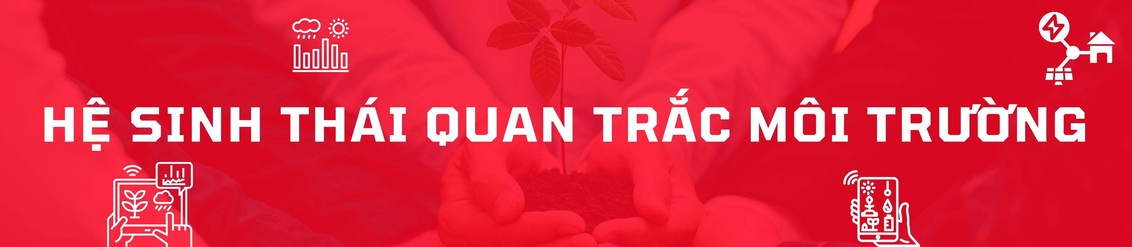 HỆ SINH THÁI QUAN TRẮC MÔI TRƯỜNG